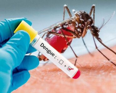 नाशिक: आठवडाभरातच शहरात डेंग्यूचे ९६ नवे रुग्ण