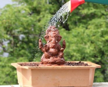पर्यावरणपुरक पध्दतीने गणेशमूर्ती विसर्जन करण्याचे प्रशासनाचे आवाहन