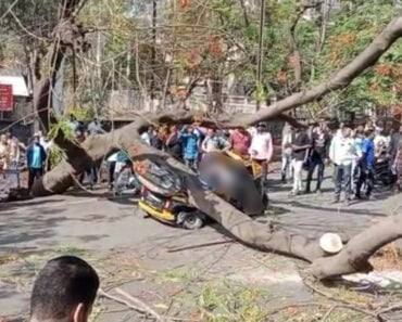 नाशिक: उद्योग भवनजवळ रिक्षावर झाड पडून दोन जणांचा मृत्यू