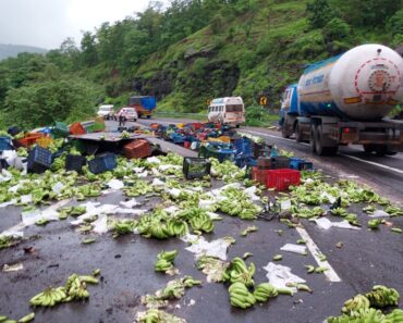 कसारा घाटात ट्रक आणि आयशरचा अपघात; एक ठार, एक जखमी