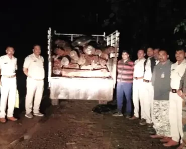 नाशिक: धूमस्टाईल पाठलाग! पुष्पा पॅटर्न तस्करीचा डाव उधळला, दोघे संशयित ताब्यात