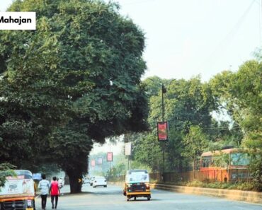 рдирд╛рд╢рд┐рдХ: рдирд╛рд╢рд┐рдХ-рдкреБрдгреЗтАО рд░реЛрдбрд╡рд░реАрд▓ 24 рд╡реГрдХреНрд╖рддреЛрдбреАрд▓рд╛ рд╣рд┐рд░рд╡рд╛ рдХрдВрджреАрд▓; 120 рдЭрд╛рдбреЗ рд▓рд╛рд╡рдгреНрдпрд╛рдЪреА рдЕрдЯ рдирд╛рд╢рд┐рдХ: рдирд╛рд╢рд┐рдХ-рдкреБрдгреЗтАО рд░реЛрдбрд╡рд░реАрд▓ 24 рд╡реГрдХреНрд╖рддреЛрдбреАрд▓рд╛ рд╣рд┐рд░рд╡рд╛ рдХрдВрджреАрд▓; 120 рдЭрд╛рдбреЗ рд▓рд╛рд╡рдгреНрдпрд╛рдЪреА рдЕрдЯ