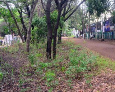 नाशिक: इंडिगो पार्कजवळील जॉगिंग ट्रॅकचे काम सुरू न केल्यास आंदोलनाचा इशारा !