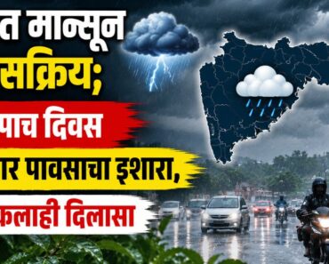 राज्यात मान्सून पुन्हा सक्रिय; पुढील पाच दिवस मुसळधार पावसाचा इशारा, नाशिकलाही दिलासा
