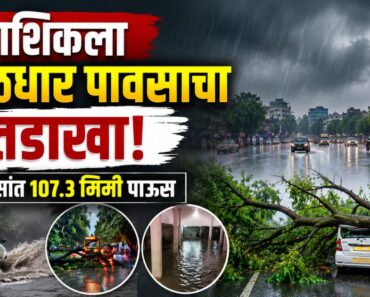नाशिकला मुसळधार पावसाचा तडाखा; ३० तासांत १०७.३ मिमी पाऊस, झाडे कोसळली, जनजीवन विस्कळीत