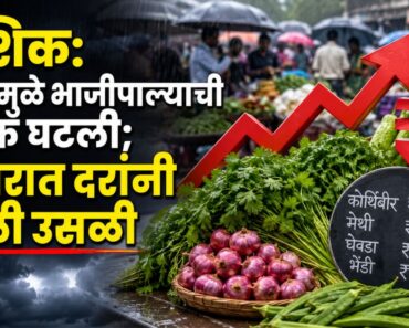 नाशिक: पावसामुळे भाजीपाल्याची आवक घटली; बाजारात दरांनी घेतली उसळी