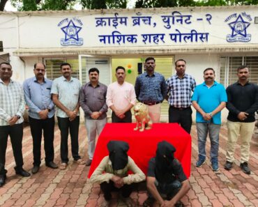 नाशिक: भद्रकाली मंदिरातील सिंहाची मूर्ती चोरीला; तासाभरात दोघे ताब्यात