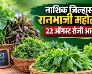नाशिक जिल्हास्तरीय रानभाजी महोत्सवाचे 22 ऑगस्ट रोजी आयोजन