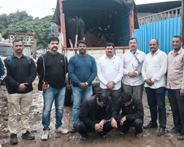 नाशिक: गोवंशाची अवैध वाहतूक करणाऱ्या दोघांना अटक; गुन्हे शाखा युनिट-२ची कारवाई