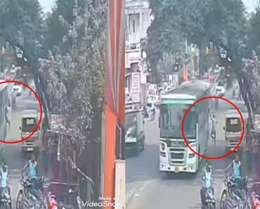 नाशिक: भरधाव सिटीलिंक बसमधून पडून वाहक गंभीर जखमी